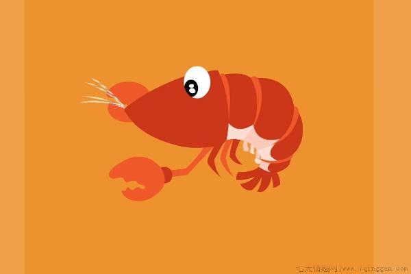 大龙虾有哪些品种