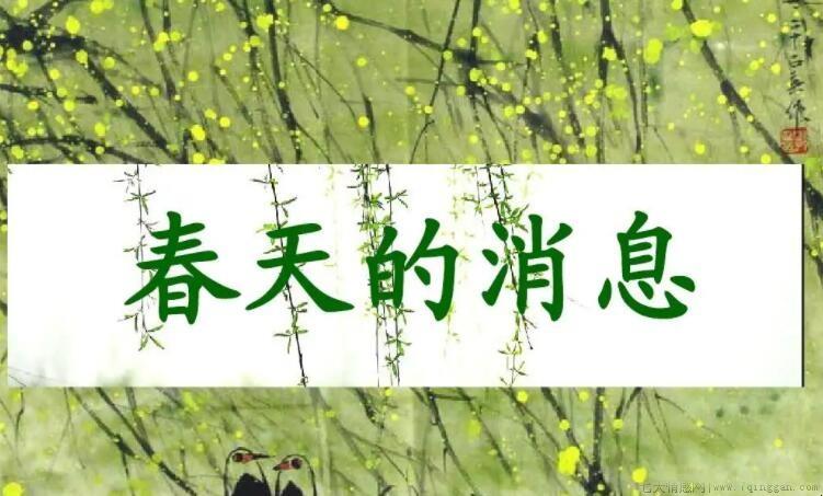 春天的消息作文怎么写