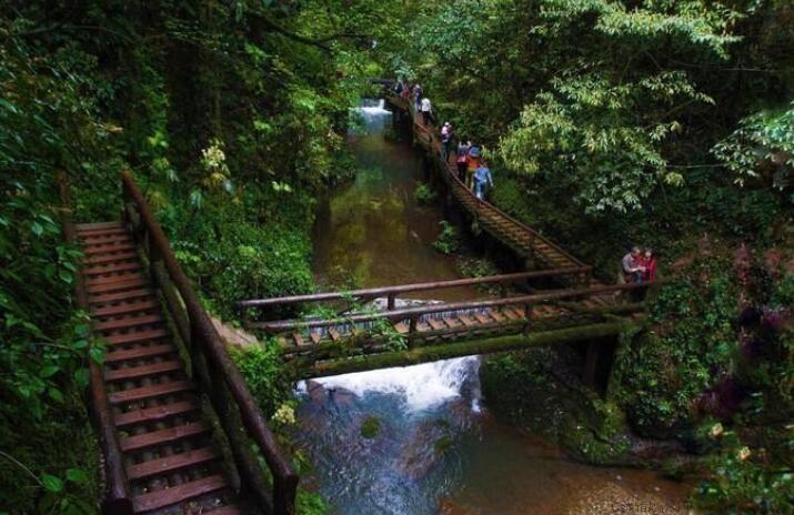 青城山后山的门票是多少钱