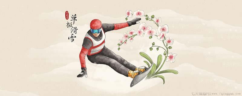 单板滑雪比赛项目有哪些