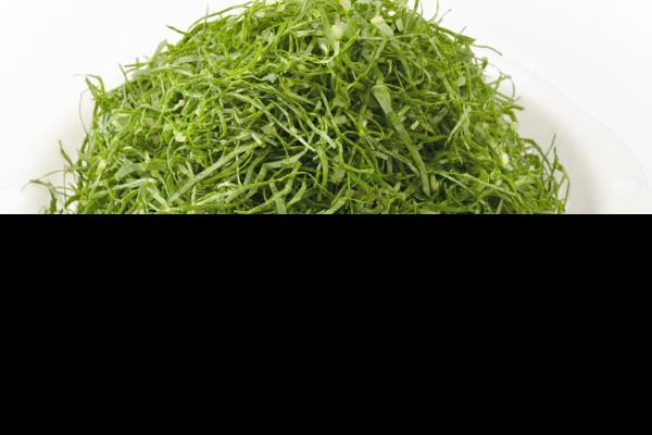 绞股蓝茶的功效与作用和副作用