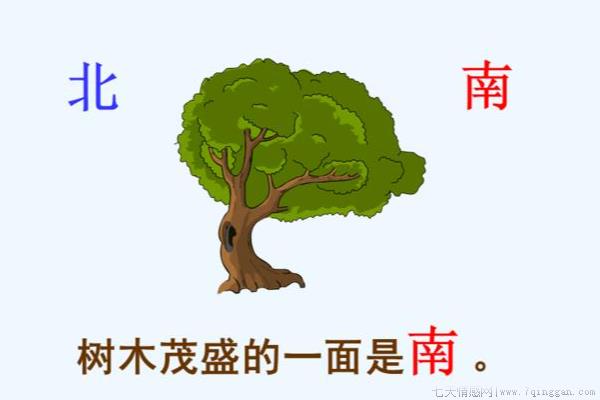辨别方向的8种方法