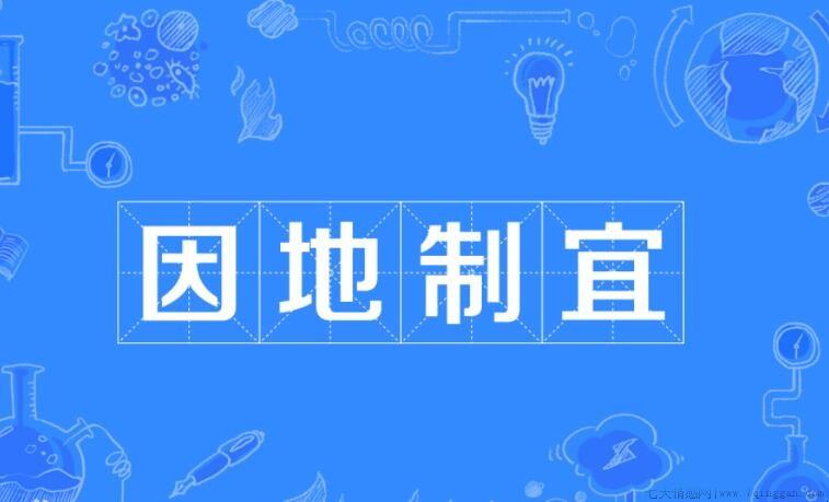 因地制宜的同义词有哪些