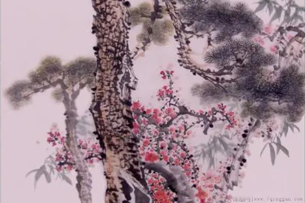 岁寒三友是什么花