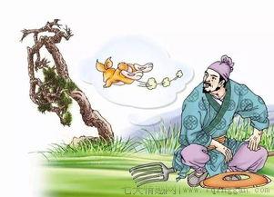 守株待兔的意思是什么