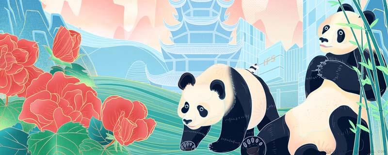 冰墩墩代表着什么
