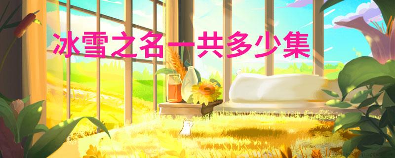 冰雪之名一共多少集