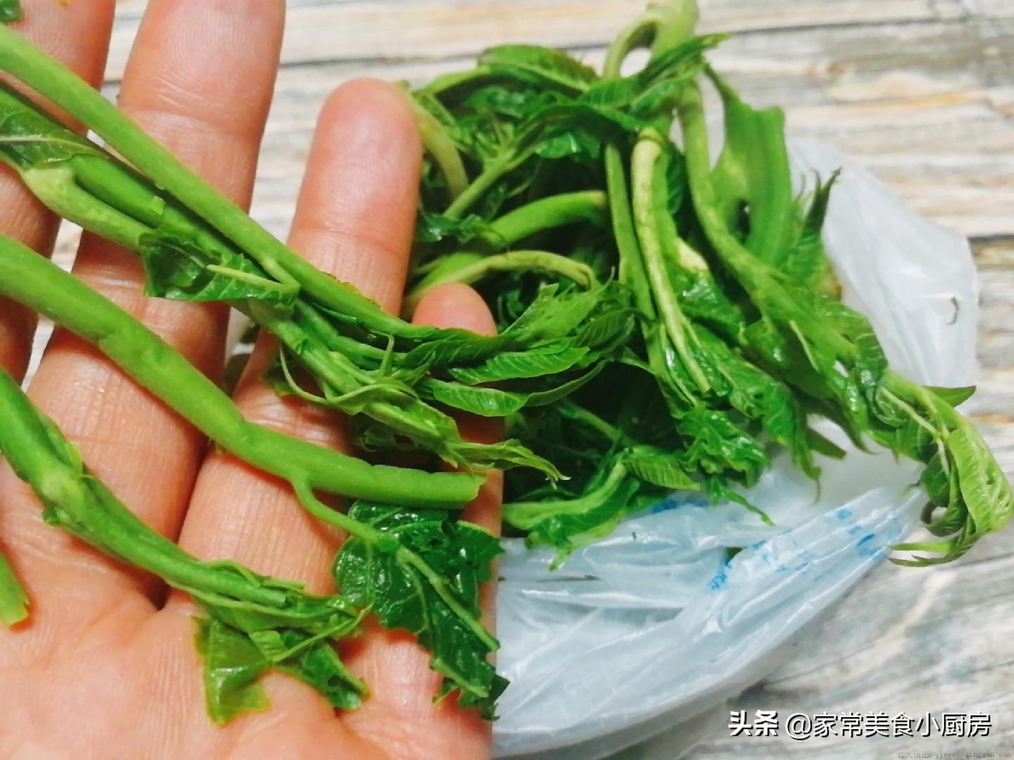 西红柿能放冰箱里保鲜吗