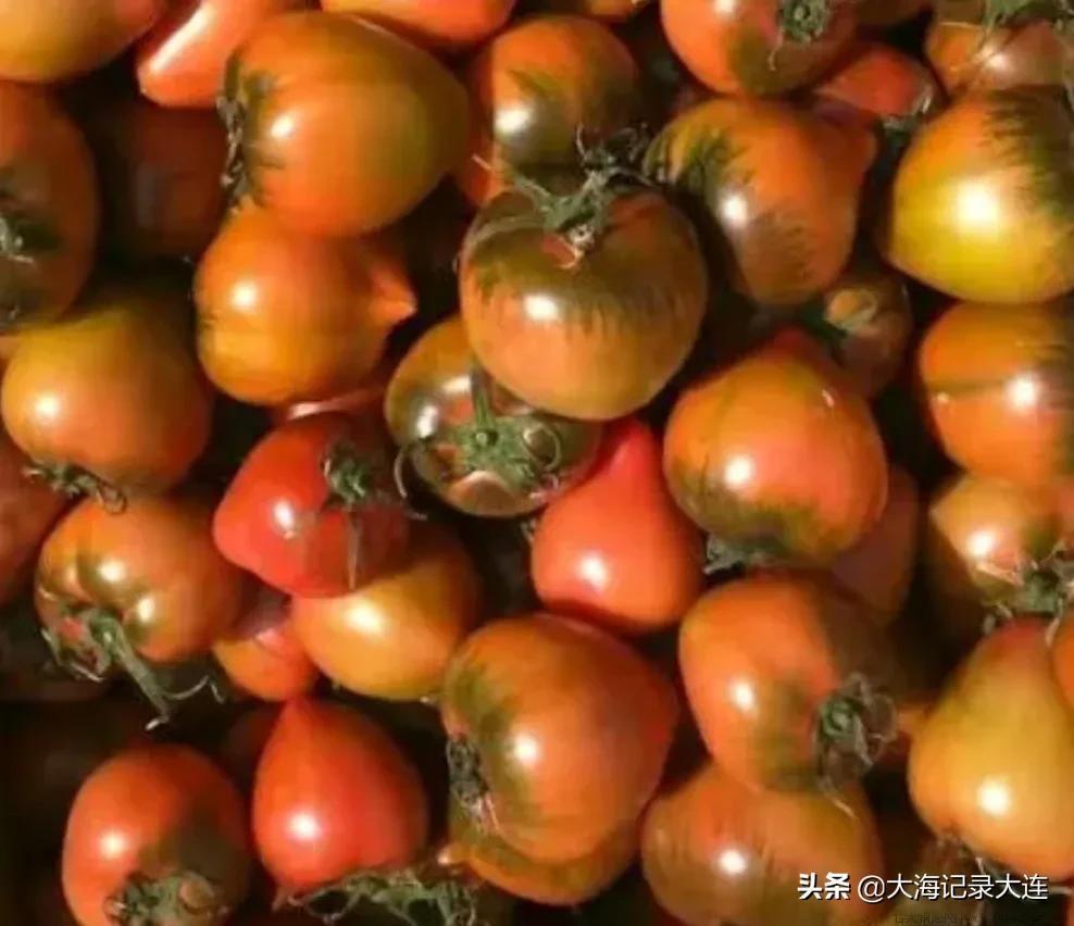 大连特产有哪些好吃的能带走的
