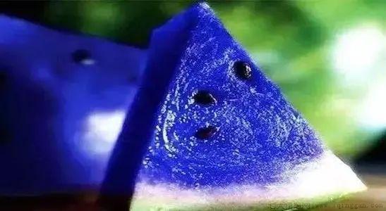 蓝色的水果有哪些