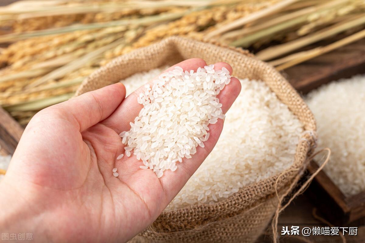 梗米跟大米有什么区别吗