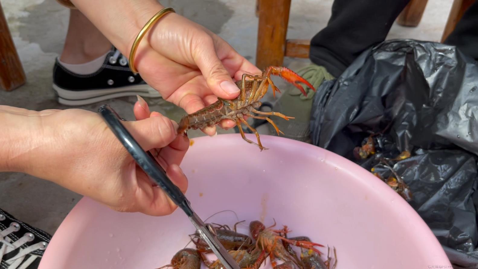 小龙虾青色和红色的区别在哪