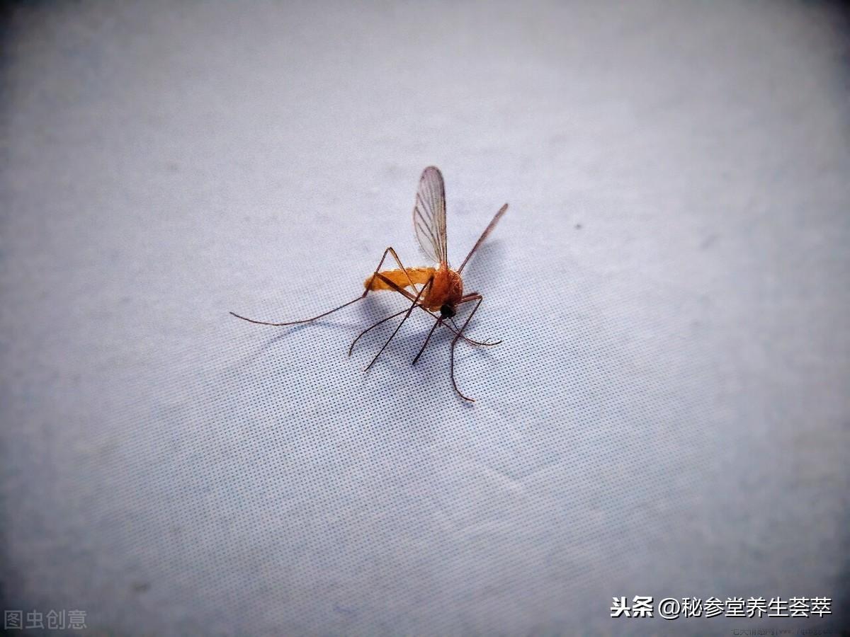 电蚊香可以开着睡觉吗