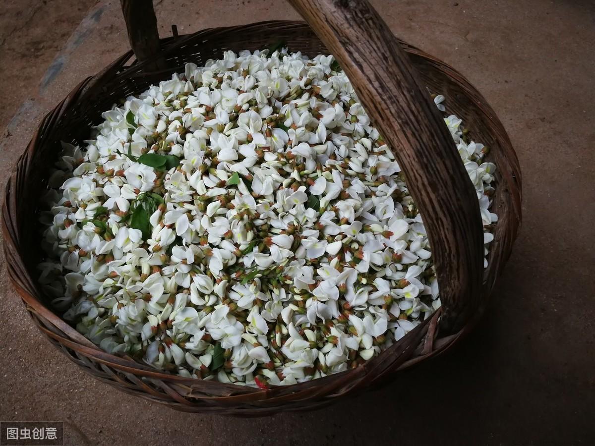 紫色槐树花可以食用吗