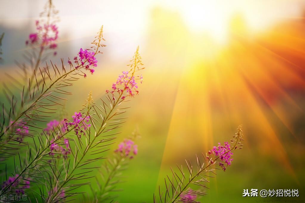 墙体潮湿发霉怎么处理方法