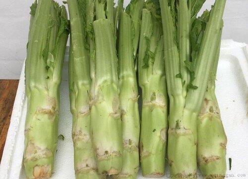 酸菜鱼的酸菜是什么菜做的