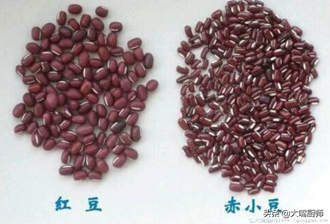红豆和红小豆一样吗