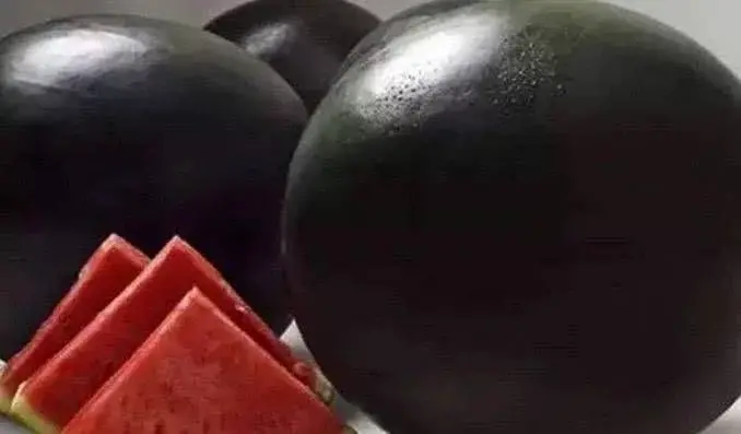 黑色的水果有哪些东西