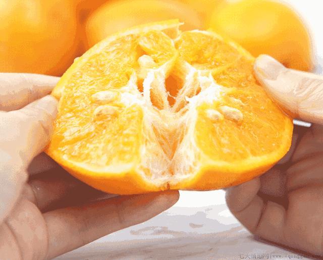 橘子外面的白丝是什么
