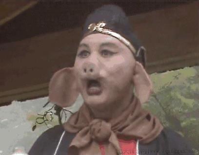 为什么没人喝猪奶