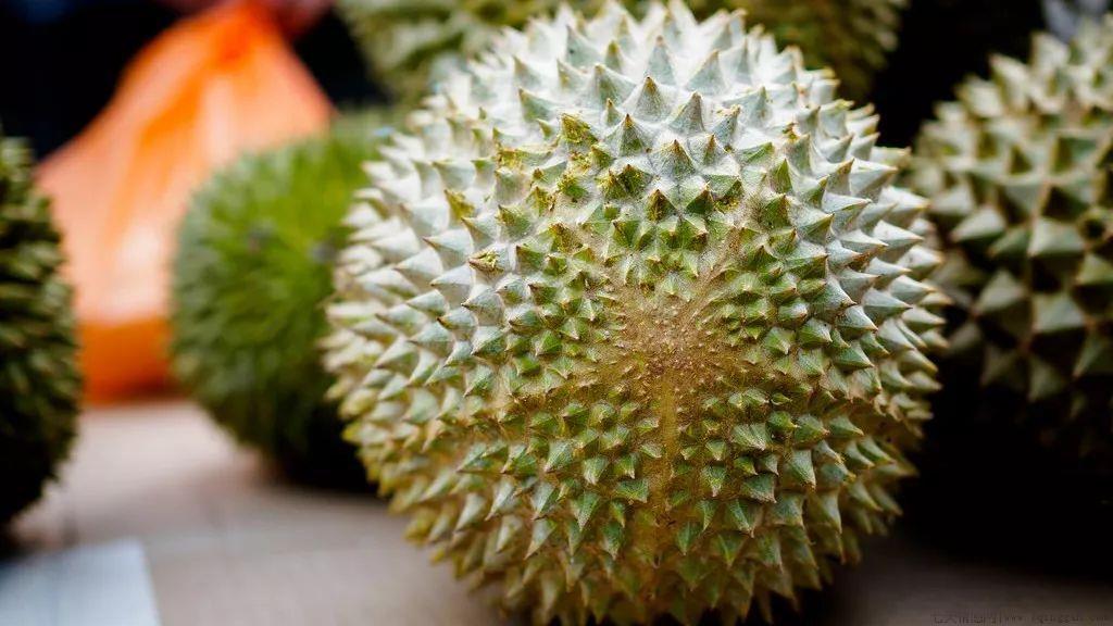 榴莲有几个品种最好吃的是哪个