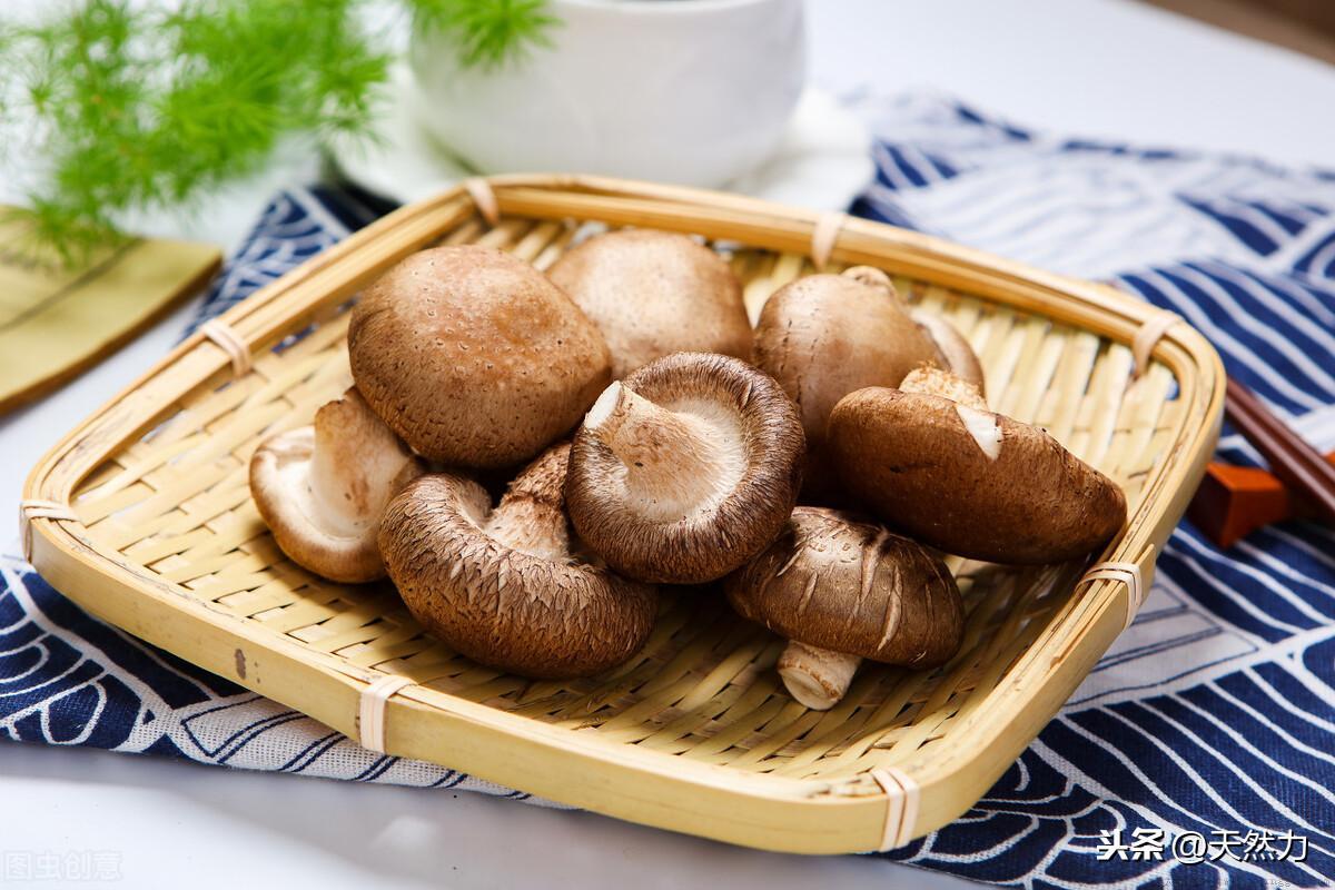 新鲜蘑菇怎么长期保存时间长一点