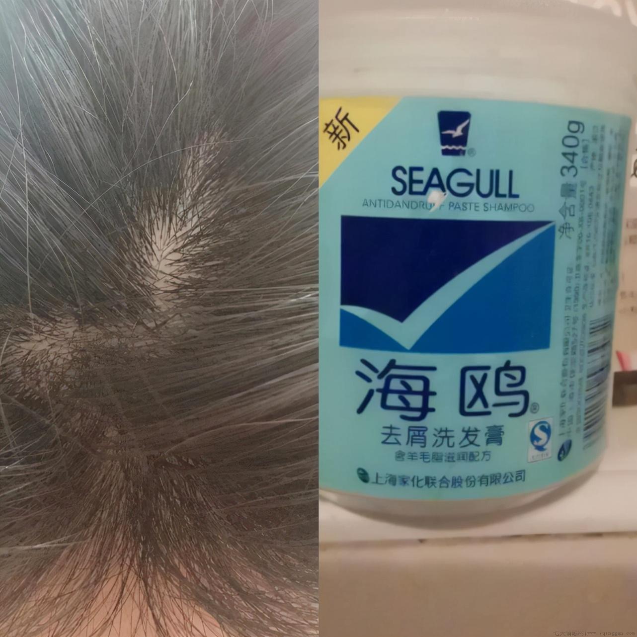 洗发露什么牌子好用