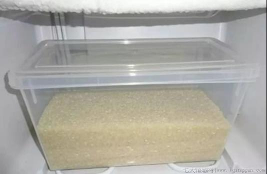 家里有米虫到处爬怎么根除