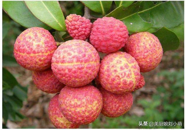 维c含量最高的水果排名