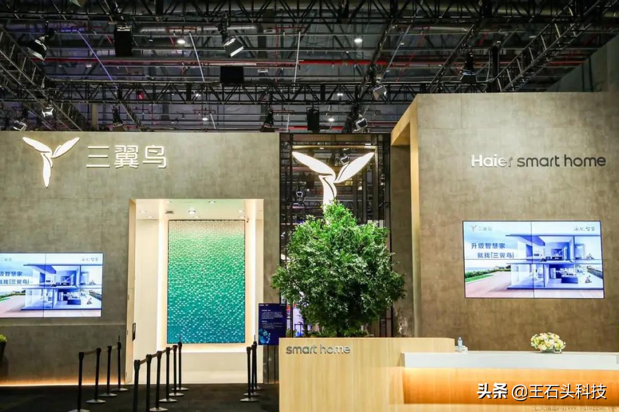 海尔三翼鸟是什么意思