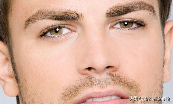 男人哪种眉毛最好看图片