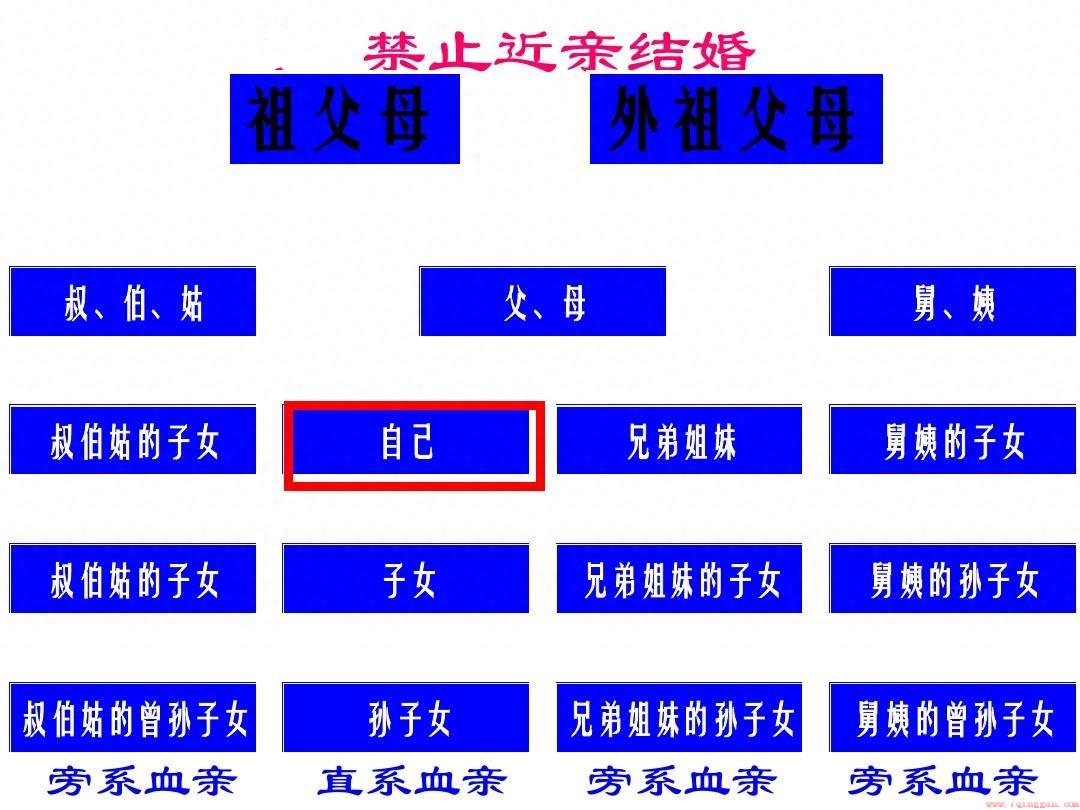 三代直系亲属包括哪些人？