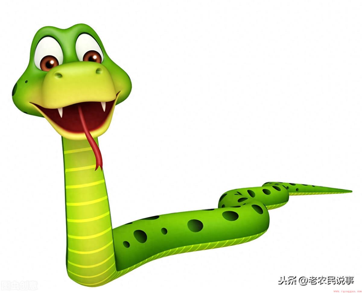 家里有蛇出现是好事还是坏事