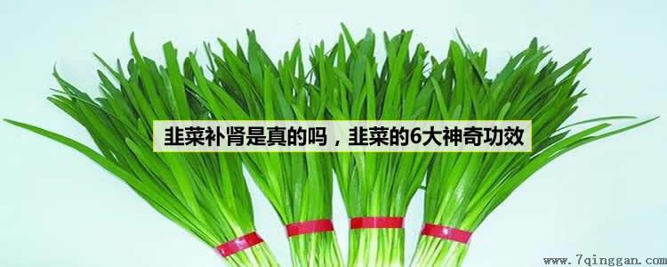 韭菜补肾是真的吗,韭菜的6大神奇功效 韭菜补肾是真的吗,韭菜的6大神奇功效