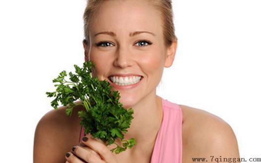 怎么摆脱跳蚤困扰