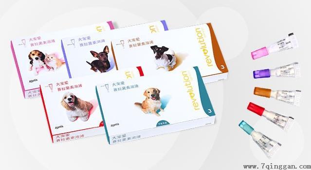 大宠爱和博来恩哪个好？