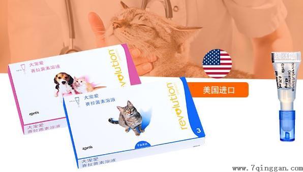 大宠爱和博来恩哪个好？