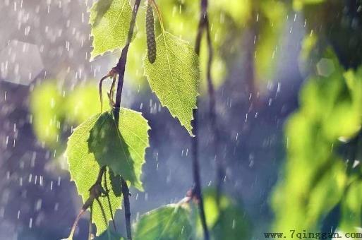 梅雨季节开窗户复合板会受潮吗？梅雨季节如何防潮