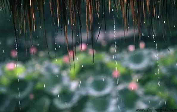 梅雨季节是什么时间，在什么节气之间，梅雨季节分布在哪些省