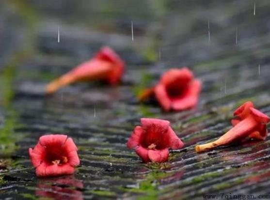 梅雨季节是什么时间，在什么节气之间，梅雨季节分布在哪些省