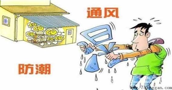 梅雨季节是什么时间，在什么节气之间，梅雨季节分布在哪些省