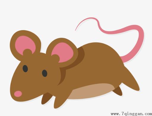 老鼠闻到风油精味多久能跑？