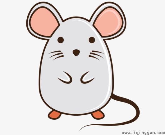 家中有老鼠有什么迹象？人睡着了老鼠会靠近吗？