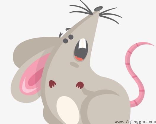 老鼠咬内裤是有什么病吗？