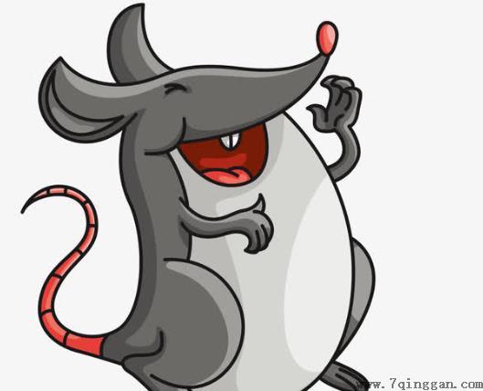 粘住一只老鼠会引来更多的吗?家里有老鼠怎么办?