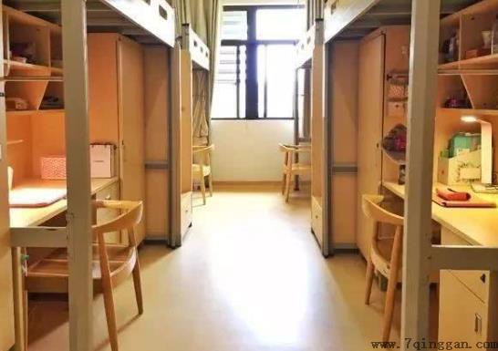 大学宿舍可以养仓鼠吗？大学宿舍可以养猫吗？