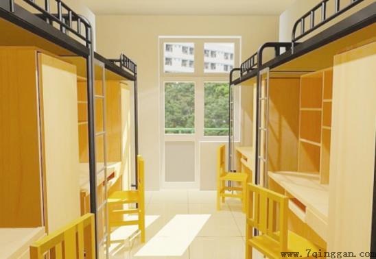 大学宿舍可以养仓鼠吗？