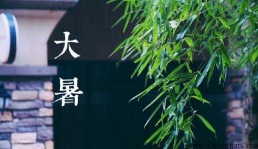 大暑有雨什么说法