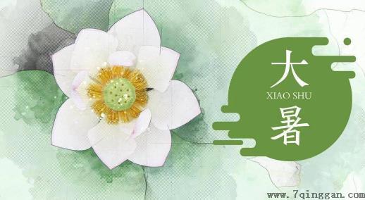 大暑热还是夏至热