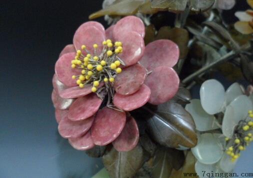 玉树花的风水学应用